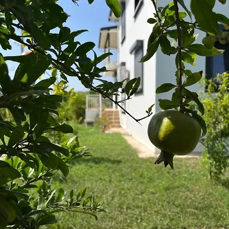 X - Cozy Near The And And Airport 4*
