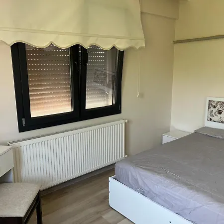 X - Cozy Near The And And Airport Hotel 4*