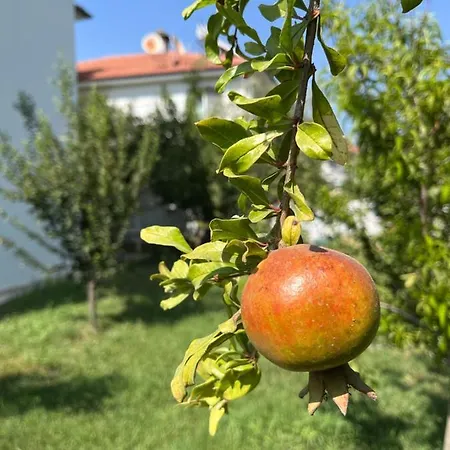 X - Cozy Near The And And Airport Hotel 4*